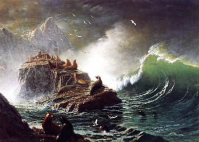 Seals on the Rocks, Farallon Islands Albert Bierstadt